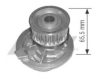 OPEL 1334041 Water Pump